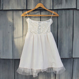 Spruce & Lace Dress: Alternate View #4