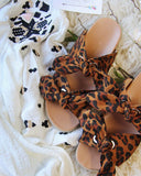 Sweet Sycamore Slides: Alternate View #2