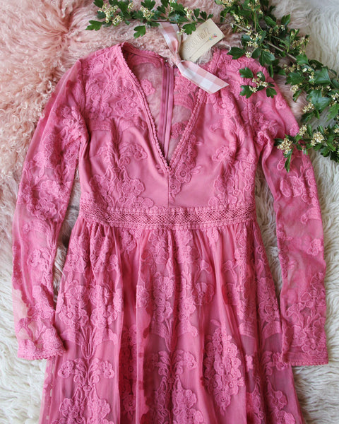 Tainted Rose Lace Maxi Dress in Long Sleeve: Featured Product Image