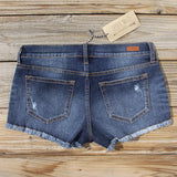 Camper Plaid Shorts: Alternate View #3