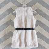 The Teddy Vest in Snow: Alternate View #4