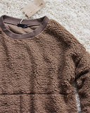 The Teddy Sweatshirt in Firewood: Alternate View #2