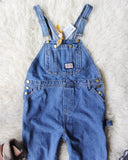 The Carpenter Overalls: Alternate View #1