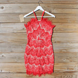 Thunder & Sky Lace Dress: Alternate View #4