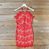 Thunder & Sky Lace Dress: Alternate View #1