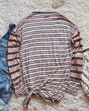 Tie & Stripe Cozy Tee in Desert: Alternate View #4