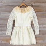 Vintage 70's Lace & Chiffon Dress: Alternate View #4
