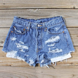Vintage Distressed Shorts: Alternate View #1
