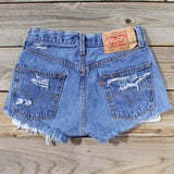 Vintage Distressed Shorts: Alternate View #3