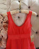 Vintage Flutter Lace Cami: Alternate View #2