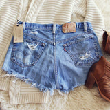 Vintage Tattered & Distressed Shorts: Alternate View #3