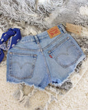 Vintage Levi's Shorts: Alternate View #3
