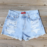 Wildwood Distressed Shorts: Alternate View #1