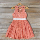 Hickory Hill Lace Dress: Alternate View #4