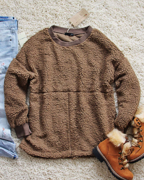The Teddy Sweatshirt in Firewood: Featured Product Image