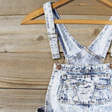 Backroads Distressed Overalls: Alternate View #2