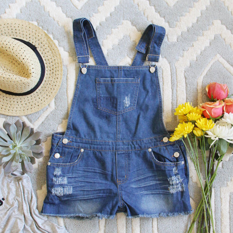 Camper Distressed Overalls