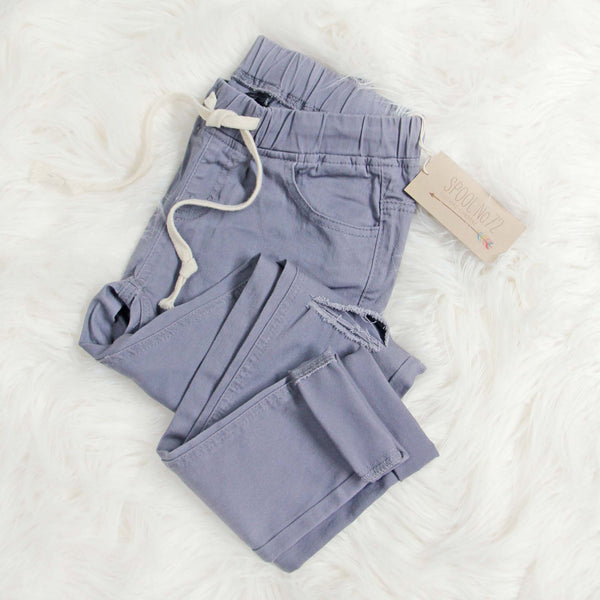 Canyon Sugar Pants in Gray: Featured Product Image