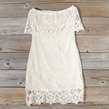 Coyote Lace Dress: Alternate View #5