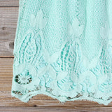 Coyote Lace Dress in Mint: Alternate View #3
