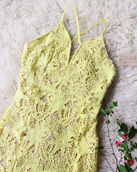 Daffodil Lace Dress: Featured Product Image