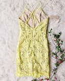 Daffodil Lace Dress: Alternate View #3