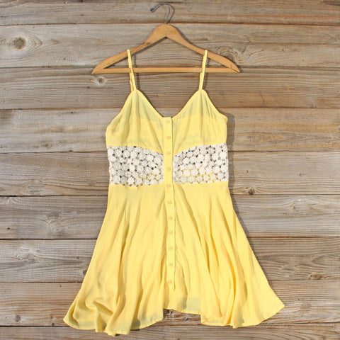 Dandelion & Lace Dress