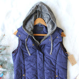 Forest Smoke Hooded Vest in Navy: Alternate View #2