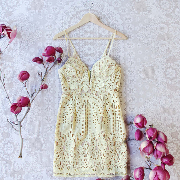 Fortune & Lace Dress: Featured Product Image