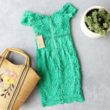 Fern Lace Dress: Alternate View #4