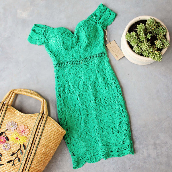 Fern Lace Dress: Featured Product Image