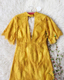 Honey Belle Lace Dress: Alternate View #2