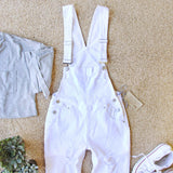 Out & About Overalls: Alternate View #1
