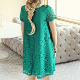 Santa Clara Lace Dress in Green (wholesale): Alternate View #4
