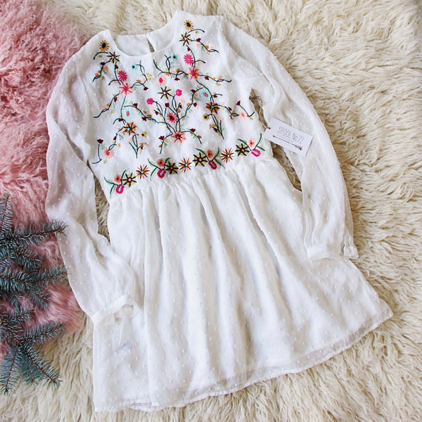 Snow Angel Embroidered Dress: Featured Product Image