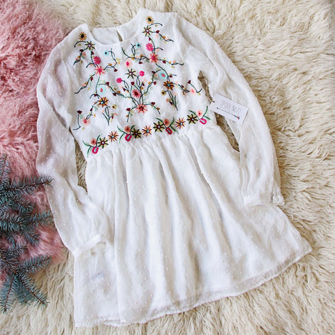 Snow Angel Embroidered Dress