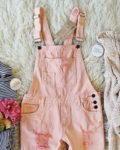 Soft + Destructed Overalls: Featured Product Image