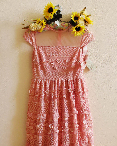 Sugar Rose Lace Dress: Featured Product Image