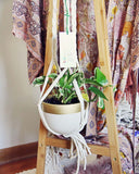 Vintage Plant Hanger: Alternate View #1